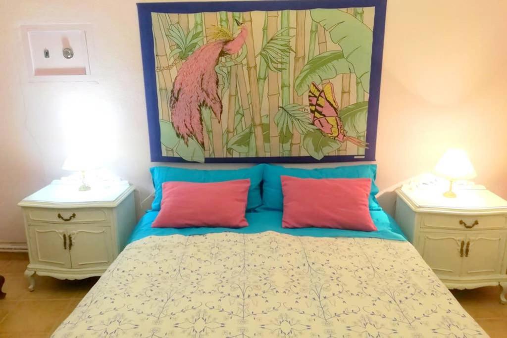 Bonito Apartamento Centro Onil Eksteriør bilde